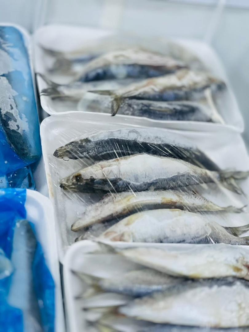 عسل البرسيم